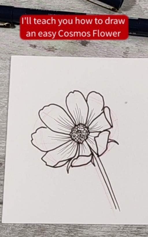 How To Draw An Easy Cosmos Flower 1 Tangi